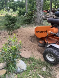 Professional stump grinding machine removing remaining tree stump after oak and maple tree removal, leaving a clean and level yard surface.
