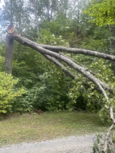 Large tree snapped during a summer storm, leaving a broken trunk and hanging limbs that require professional emergency tree removal.