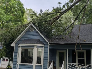 Large tree resting on the roof of a home after severe summer storms, requiring emergency tree removal to prevent further property damage.