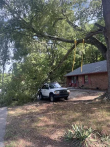 Large storm-damaged tree limb resting on a vehicle and blocking a driveway after severe summer weather, highlighting the need for emergency tree removal.