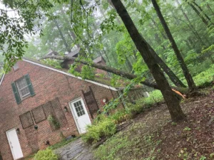 Large oak tree leaning over a residential property after severe weather, highlighting the risk of storm damage and the need for professional tree removal.
